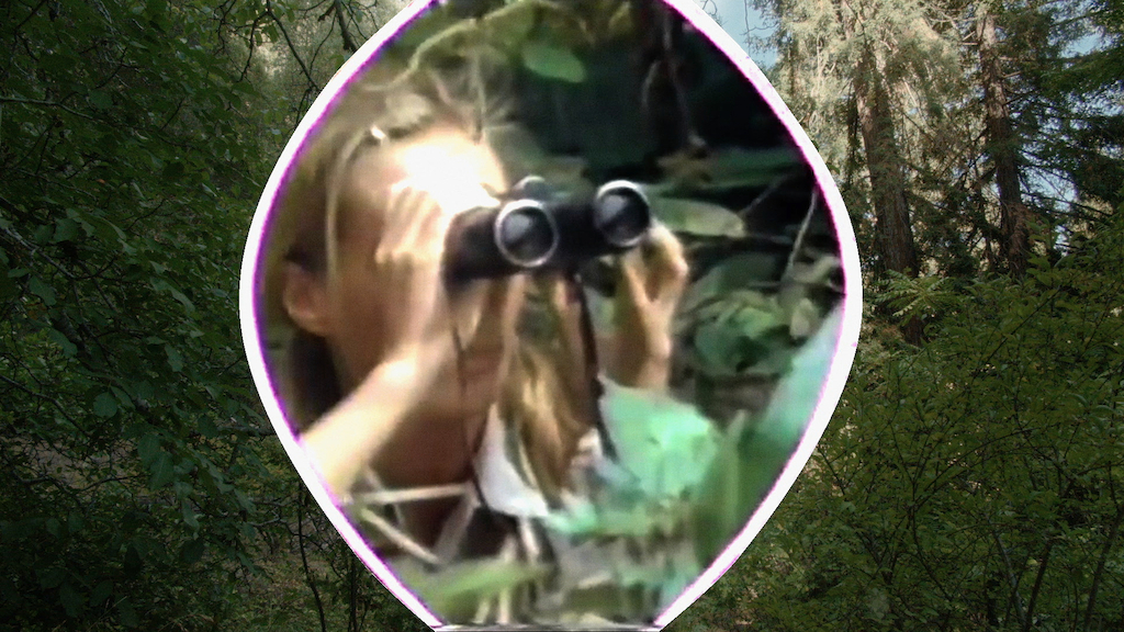 30 & 31.03 - Fabrizo Terranova invites Donna Haraway
