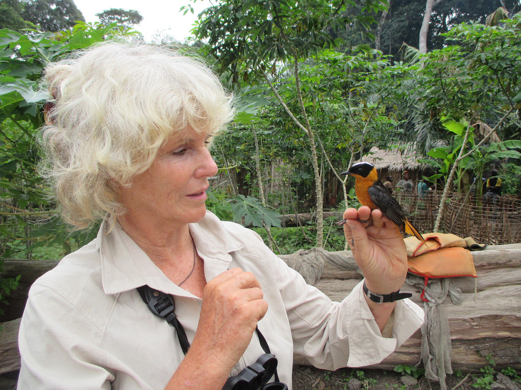 Roseline avec un 'Cossypha heuglini'