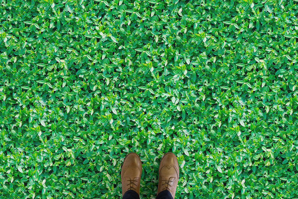 Verdure | Leaf Foliage Vinyl Flooring