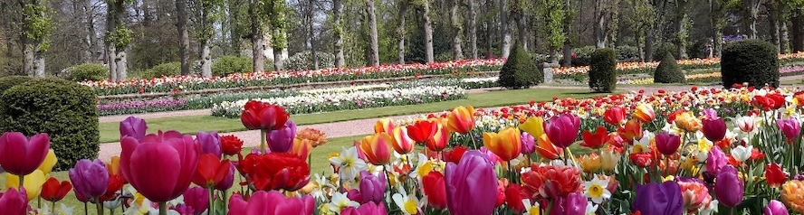 Floralia Brussels: haal je hart op tussen de bloemen