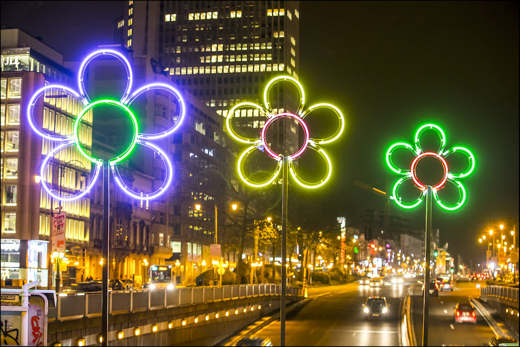 Tunnels - Nomad Flowers