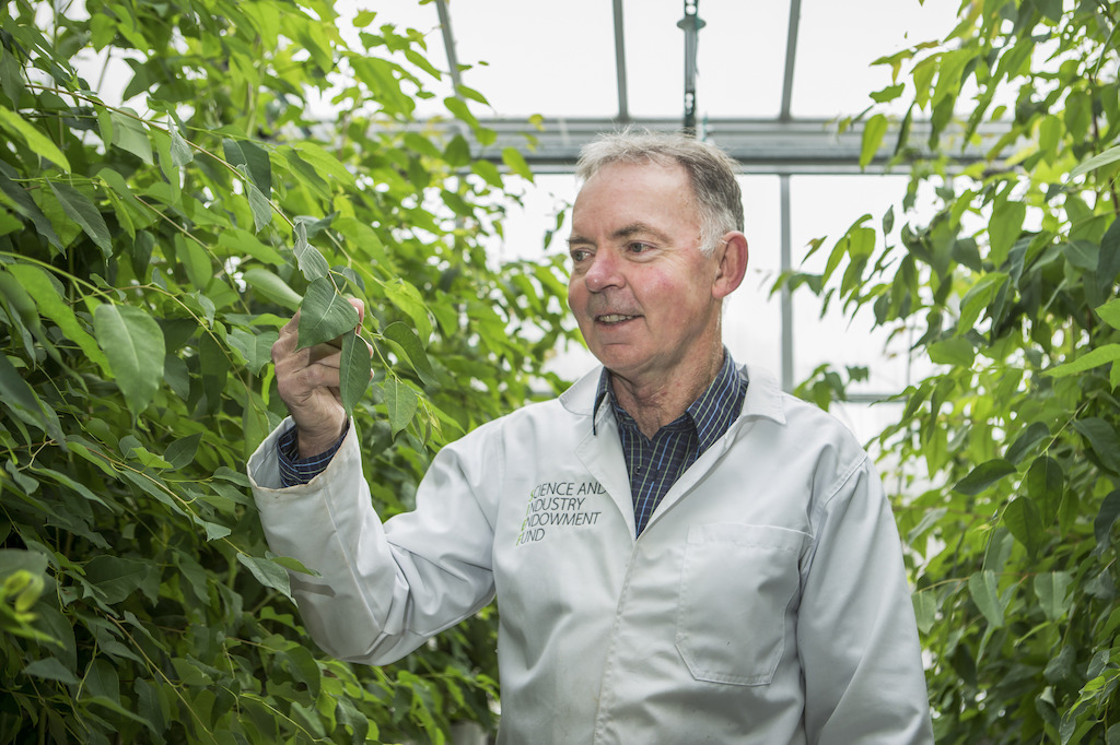 Dr Graham Farquhar. Image: Stuart Hay, ANU