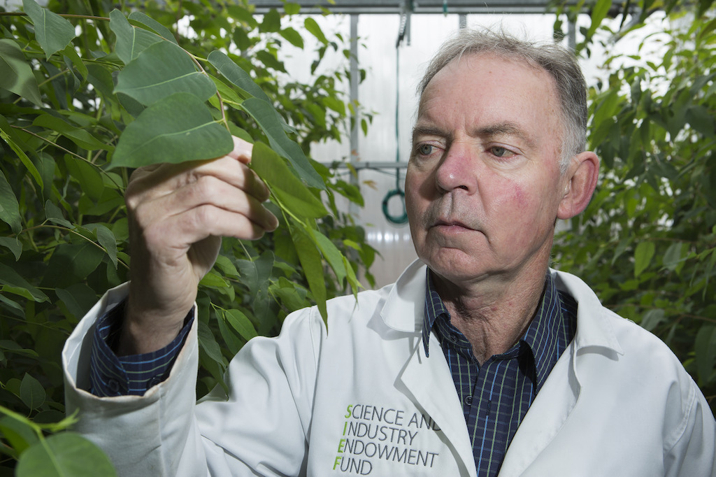 Dr Graham Farquhar. Image: Stuart Hay, ANU