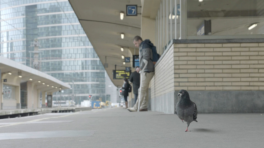 Pano (c) VRT