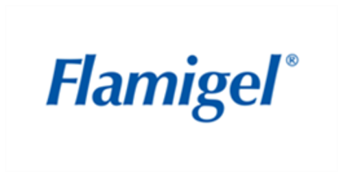 Résultat de recherche d'images pour "flamigel"