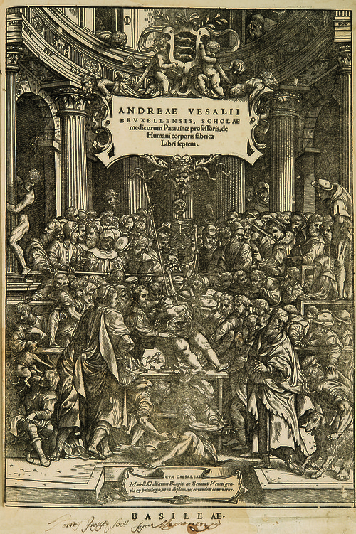 vesalius