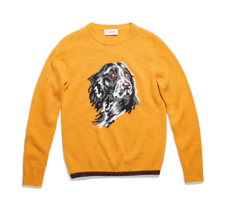 Coach 1941 PreFall 2017 collection